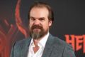 David Harbour - Jim Hopper